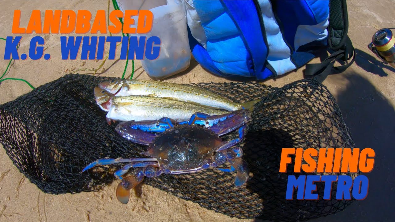 Somerton Beach METRO Land based King Whiting & Blue Swimmer Crab Fishing South