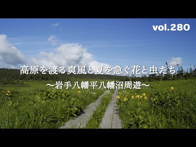 【夏休み】行ったつもりで北海道みやげ『竹根に佇む竹製のオジロワシ』☆超絶技巧☆ ちいかわ | #ちいかわ | Instagram