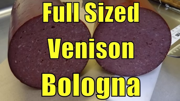 Best Venison Bologna How To Make