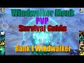 Windwalker Survival Guide Shadowlands - Rank1 In-Depth High Level Gameplay