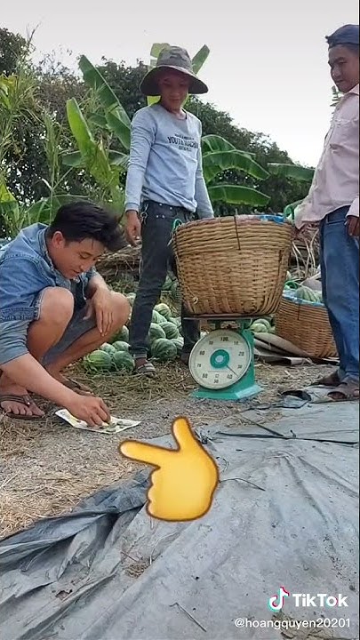 Cách chơi lô tô bằng máy tính