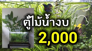 #RayZingAquarium EP13 ตู้ไม้น้ำงบ 2,000