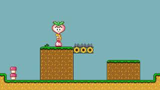 Untitled Super Mario Bros. 2-Style Game - Test