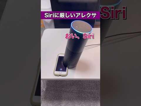Siriにめちゃくちゃ厳しいアレクサ Siri アレクサ 