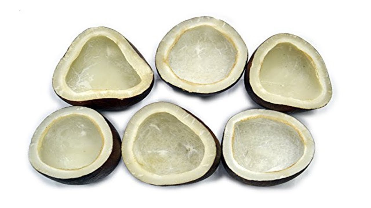 Dry Coconut Benefits YouTube