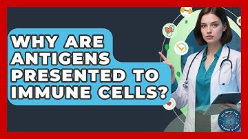 Why Are Antigens Presented To Immune Cells? - All About the Immune System