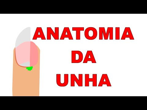 Vídeo: Do Que São Feitas As Unhas? E 18 Outros Fatos Sobre Suas Unhas