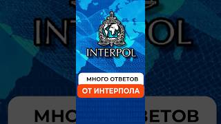 Сколько ждать ответа из Интерпол?