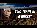 Miniature de la vidéo de la chanson Two Tears In A Bucket