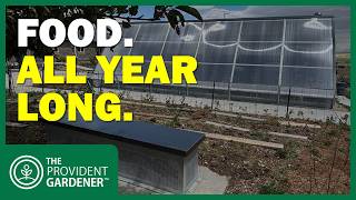 Year-Round Food in the Rocky Mountains: Our Passive Solar Greenhouse After 5 Months