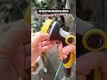 10Function High Pressure Nozzle #nozzle #HighPressureNozzle #gardeningtips #cleaningtools #homehacks