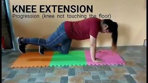 Demonstration Video   Bird Dog Series  Movement Enhancement KNEE EXTENTION PROGRESSION