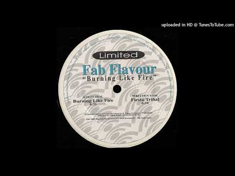 Fab Flavour — Fab Flavour - Fiesta Tribal. 2000