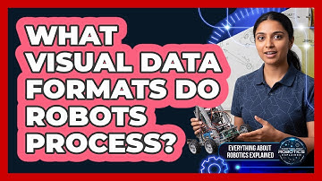 What Visual Data Formats Do Robots Process?