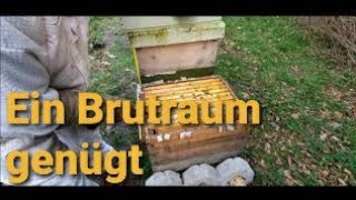 Imkern mit nur einem Brutraum - Eine Zarge Zander genügt