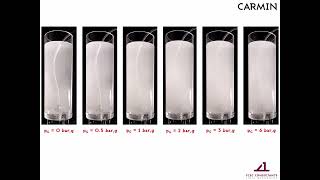 CARMIN column