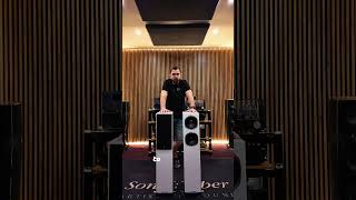 Fyne Audio F501S czy F501SP? Opowiadamy krótko i na temat