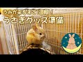 その間にうさぎグッズ準備してみました　うみが来るまで1週間！　 [#02]