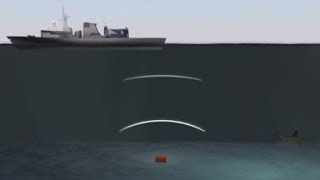 Expert: Flight 370 could be lost forever