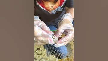 Cách lấy ruột nhãn