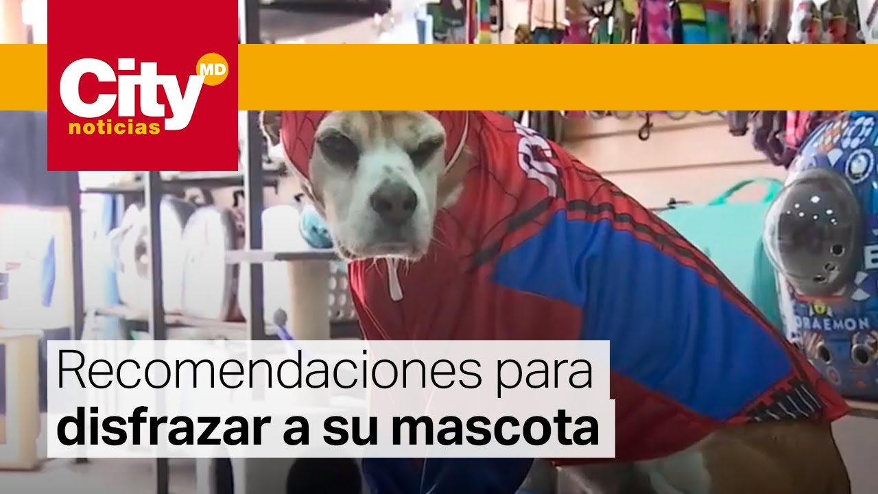 DISFRAZ LADRON - Veterinaria El Pet Shop