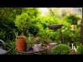 How To: Revive a Lemon Cypress Topiary // Linda Vater