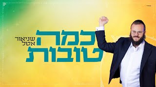 שניאור אטל - כמה טובות