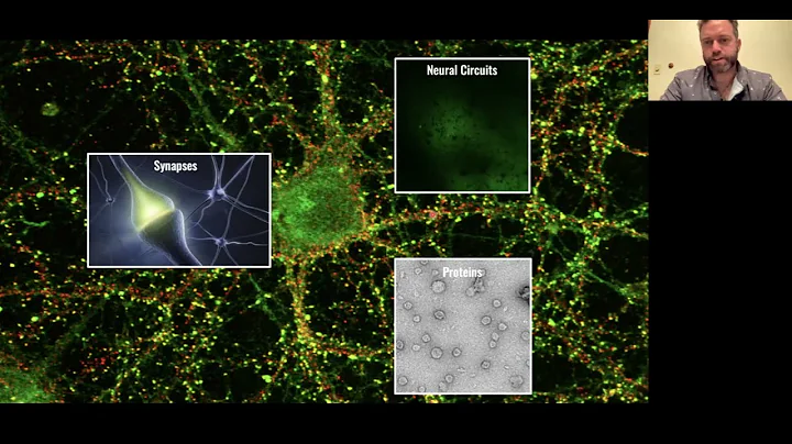 Virus-like intercellular communication - a new EV paradigm? by Jason Shepherd