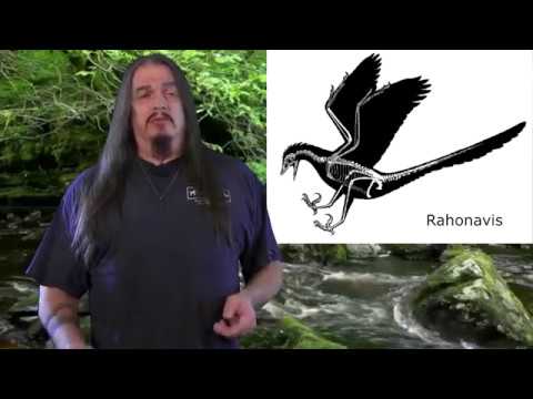 Systematic Classification of Life - ep34 Boreoeutheria