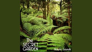 The Secret Garden Nature Sounds - Relaxing Sounds of Nature for Deep Sleep, Baby Sleep, Yoga...