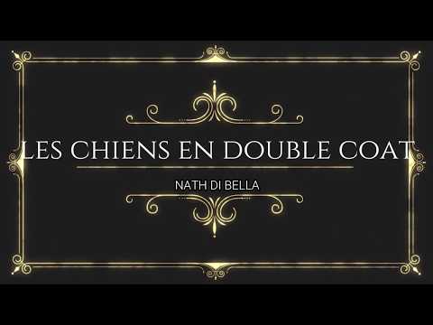 Vidéo: Techniques pour enlever la sous-couche de chiens à double couche