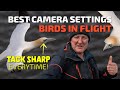Best camera settings for birds in flight