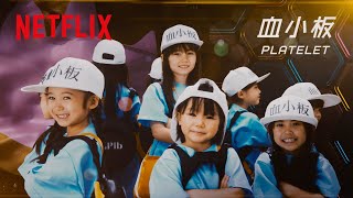Download Lagu Platelets at Work! | Cells at Work! | Clip | Netflix Anime MP3 Download Lagu Platelets at Work! | Cells at Work! | Clip | Netflix Anime MP3
