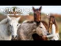 NOTRE HISTOIRE - LES CHEVAUX QUI PARTAGENT MA VIE