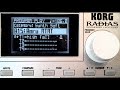 Korg Radias - High Fall (MTMT Anru)