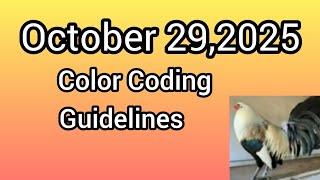 October 29,2025 Color Coding Guidelines.