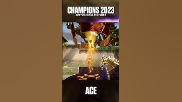 Champions 2023 Ace Sound & Finisher | Valorant