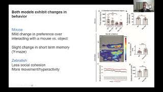 Animal Models for DESSH Therapeutics Drs  Vogt and Kim
