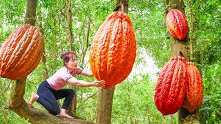 Harvesting Cocoa to Sell at the Market | Cook Delicious Pork Stuffed Eggs