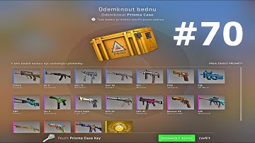 Opening 1 Case Everyday Until I Get a Knife #70