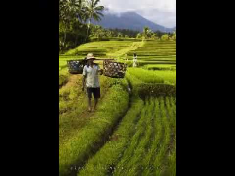 Nining Meida ft Barman Syahyana Lembur Kakasih