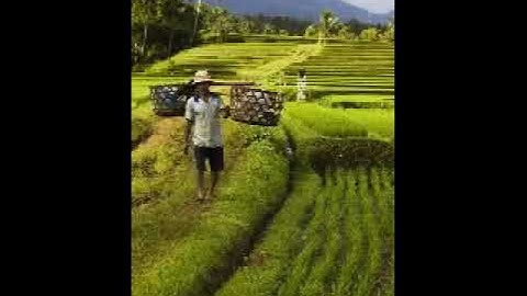 Nining Meida ft Barman Syahyana Lembur Kakasih