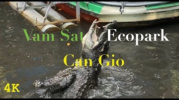 Discover Vam Sat Ecopark - Can Gio Ecotourism 4K | BinBon