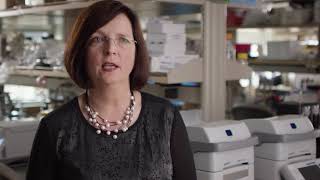 The 2018 Pnc Elsie Hillman Distinguished Scholar Award Upmc