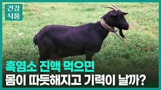 흑염소 진액 효능, '이런' 분들만 꼭 드세요! (내 체질에 맞을까?)