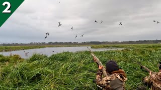 Mixed Bag LIMITS On A TINY Hole In The MARSH | Duck Hunting 2023