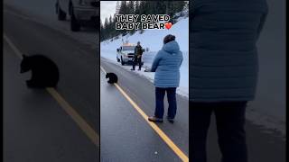 They saved baby bear❤️ #shorts #animalrescue #babybear #animalshorts