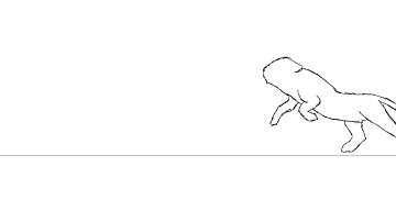 Lioness Run cycle Animation