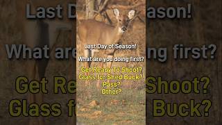 Whats Your Decision?