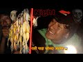 Frog Hunting,Cooking &amp; Eating /Danger Frog🐸 (Toad)Hunting /Frog Hunting at Night
